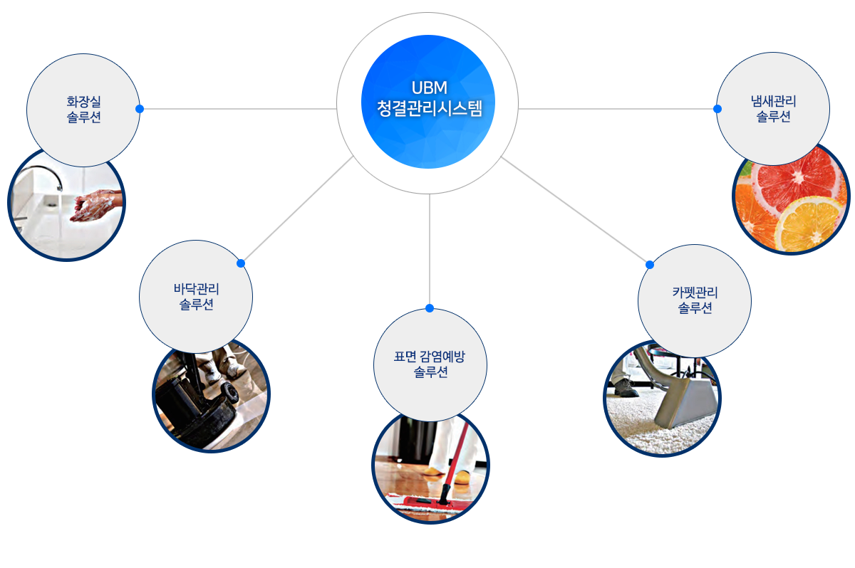 과학적인 솔루션